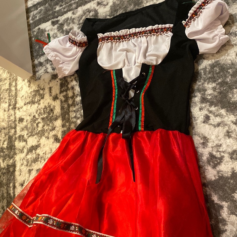 Beer Maid Dress!! Perfect for Halloween or Oktoberfest